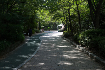 韓国の新都市：盆唐（ブンダン・Bundang）の街並み