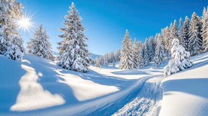 Obraz premium Serene Winter Landscape with Snow-Covered Pine Trees