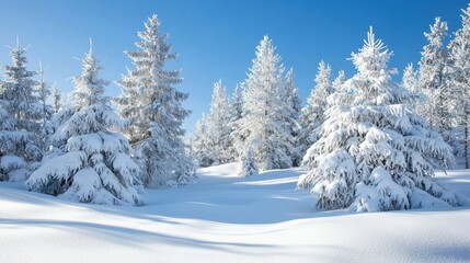 Fototapeta premium Serene Snowy Winter Landscape with Pine Trees
