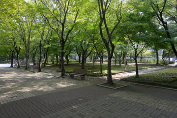 韓国の新都市：一山（イルサン・Ilsan）の街並み