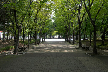 韓国の新都市：一山（イルサン・Ilsan）の街並み