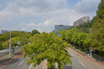 韓国の新都市：一山（イルサン・Ilsan）の街並み