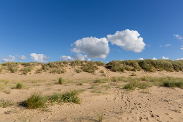 Blue sky and fluffy cloud over empty sand beach dunes