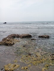 Portrait of a beach view on a sunny day with coral rocks on the beach