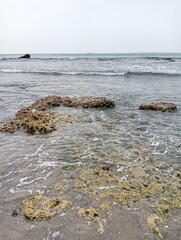Portrait of a beach view on a sunny day with coral rocks on the beach