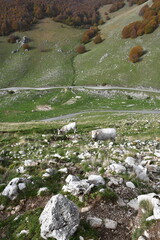 Jesienne kadry z pięknego Abruzzo, Italia.