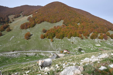 Jesienne kadry z pięknego Abruzzo, Italia.