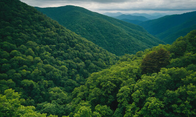 짙은 안개에 가려진 신비로운 산 풍경 멋진 봉우리 풍경