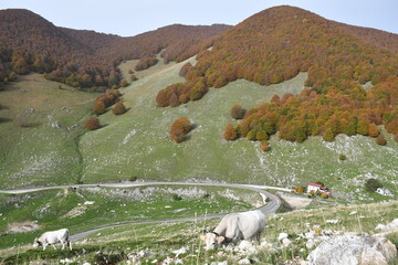 Jesienne kadry z pięknego Abruzzo, Italia.