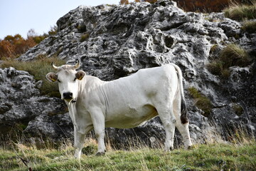 Jesienne kadry z pięknego Abruzzo, Italia.
