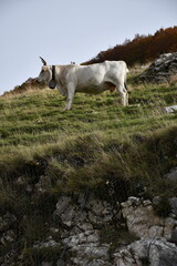 Jesienne kadry z pięknego Abruzzo, Italia.