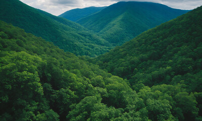 Obraz premium 짙은 안개에 가려진 신비로운 산 풍경 멋진 봉우리 풍경