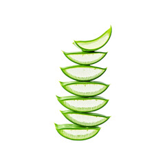 Fresh green aloe vera leaf isolated on a transparent background by AI generative