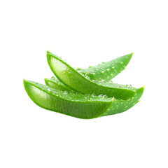 Fresh green aloe vera leaf isolated on a transparent background by AI generative