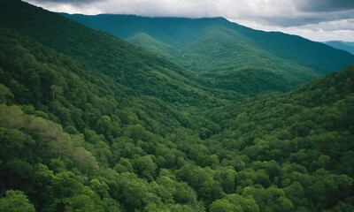 Naklejka premium 짙은 안개에 가려진 신비로운 산 풍경 멋진 봉우리 풍경