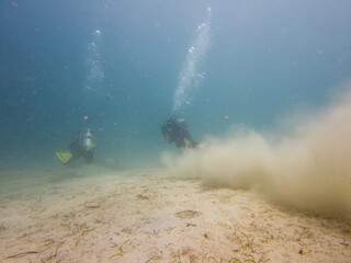 Good trim and finning techniques are essential scuba diving skills. If not, it may result in low or even no visibility. The scuba diver may also damage the marine life 