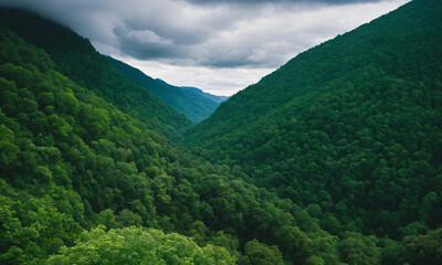 Obraz premium 짙은 안개에 가려진 신비로운 산 풍경 멋진 봉우리 풍경