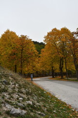 Jesienne kadry w Abruzzo, Italia.
