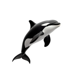Vibrant orca whale illustration on a transparent background