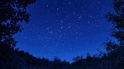 Fototapeta premium Blue hour sky with stars emerging, and the faint outlines of the galaxy blending into the evening scene.
