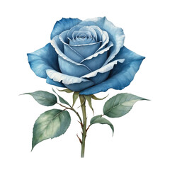 Blue rose with isolated background, Watercolor blue rose with isolated background, Minimalist watercolor blue rose with isolated background.