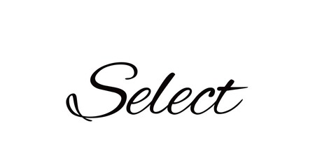 Select word text isolated on white background.