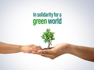 In Solidarity for a Green World. Climate change conference slogan concept background.