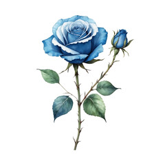 Watercolor blue rose with isolated background, Minimalist watercolor blue rose with isolated background, Blue rose with isolated background.