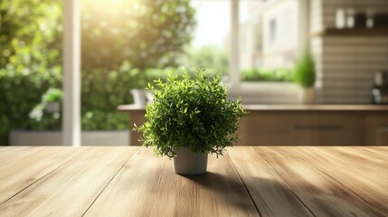 Minimalist wooden table with a fresh green plant in the center, blurred modern kitchen setting in the background.