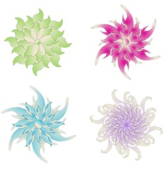 set of floral designs in pink, blue, green, purple color