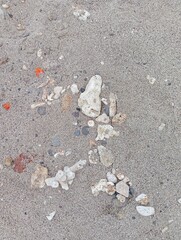 Portrait of sand and small rocks on the beach