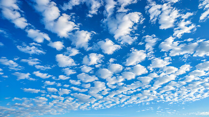 Fototapeta premium blue sky with clouds