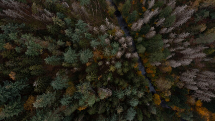 river in the middle of the forest. Autumn