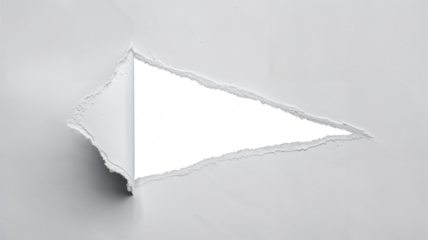 a torn piece of white paper with a triangular-shaped hole . The torn edges are irregular and jagged with a transparent background