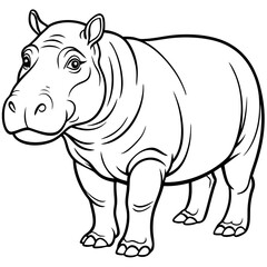 Hippopotamus