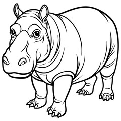 Hippopotamus