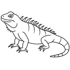  Iguana
