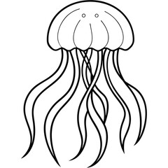  Jellyfish