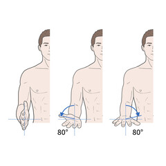 팔꿈치 관절 정상 운동 범위 일러스트