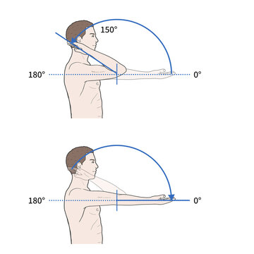 팔꿈치 관절 정상 운동 범위 일러스트