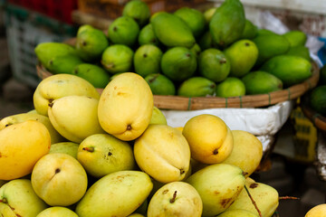 Ripe and Green Mangos at the Local Market