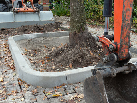 Entsiegelung Baumscheibe - Baumaschinen und vergr&ouml;&szlig;erte Baumgrube mit Einfassung am Stra&szlig;enrand