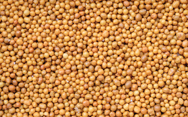 Top view of controlled release fertilizer