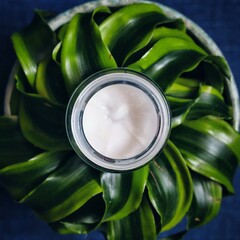 A jar of cream on a background of green leaves; view from above