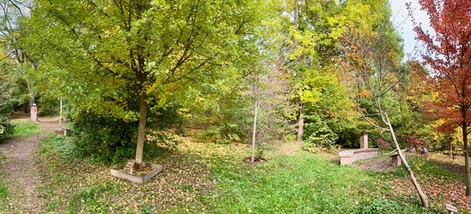 Aceretum - Ahornpark inIlfeld im Goldenen Oktober, Indian Summer