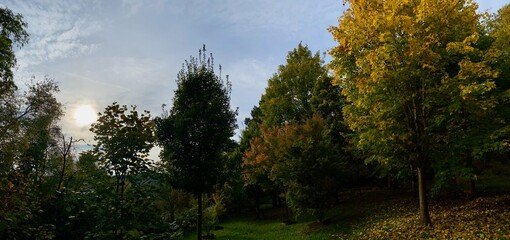 Aceretum - Ahornpark inIlfeld im Goldenen Oktober, Indian Summer