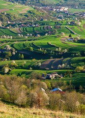 Spring landscape with blossom trees on a green meadows. The Hrinova village in Slovakia, Europe Fresh country in Hrinova, Podpolanie region. © Ivan