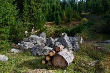 fire wood in a stack in the mountains