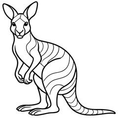 Kangaroo