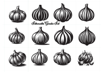 Black Color garlic Silhouette Vector Illustration